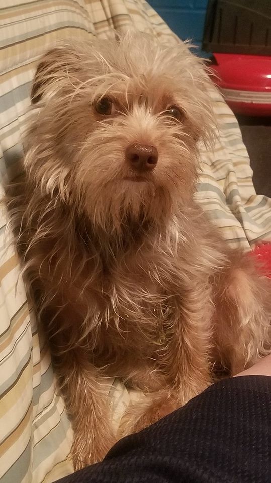 Readers pet photos